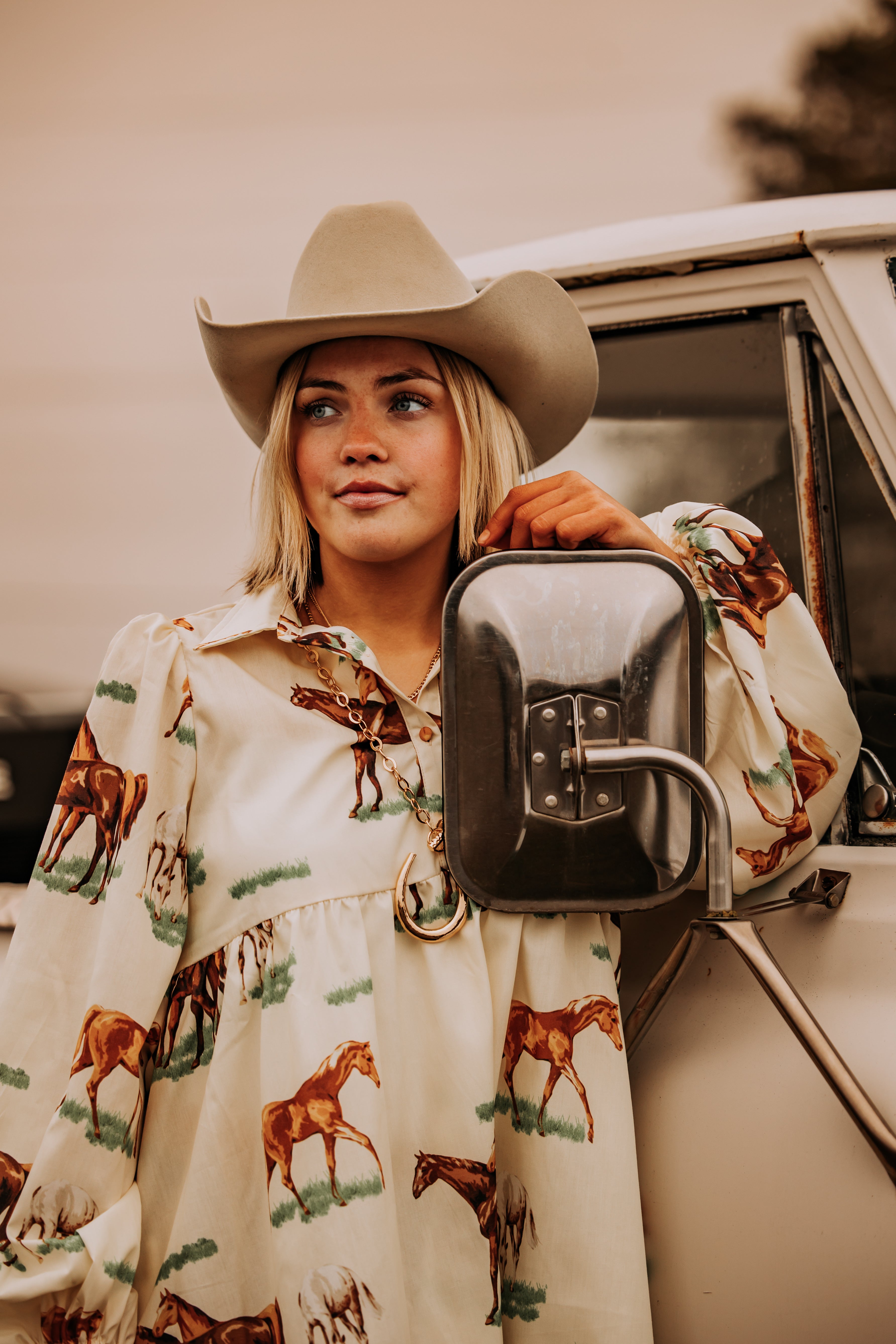 The Josie Horse Dress – Blush Out West