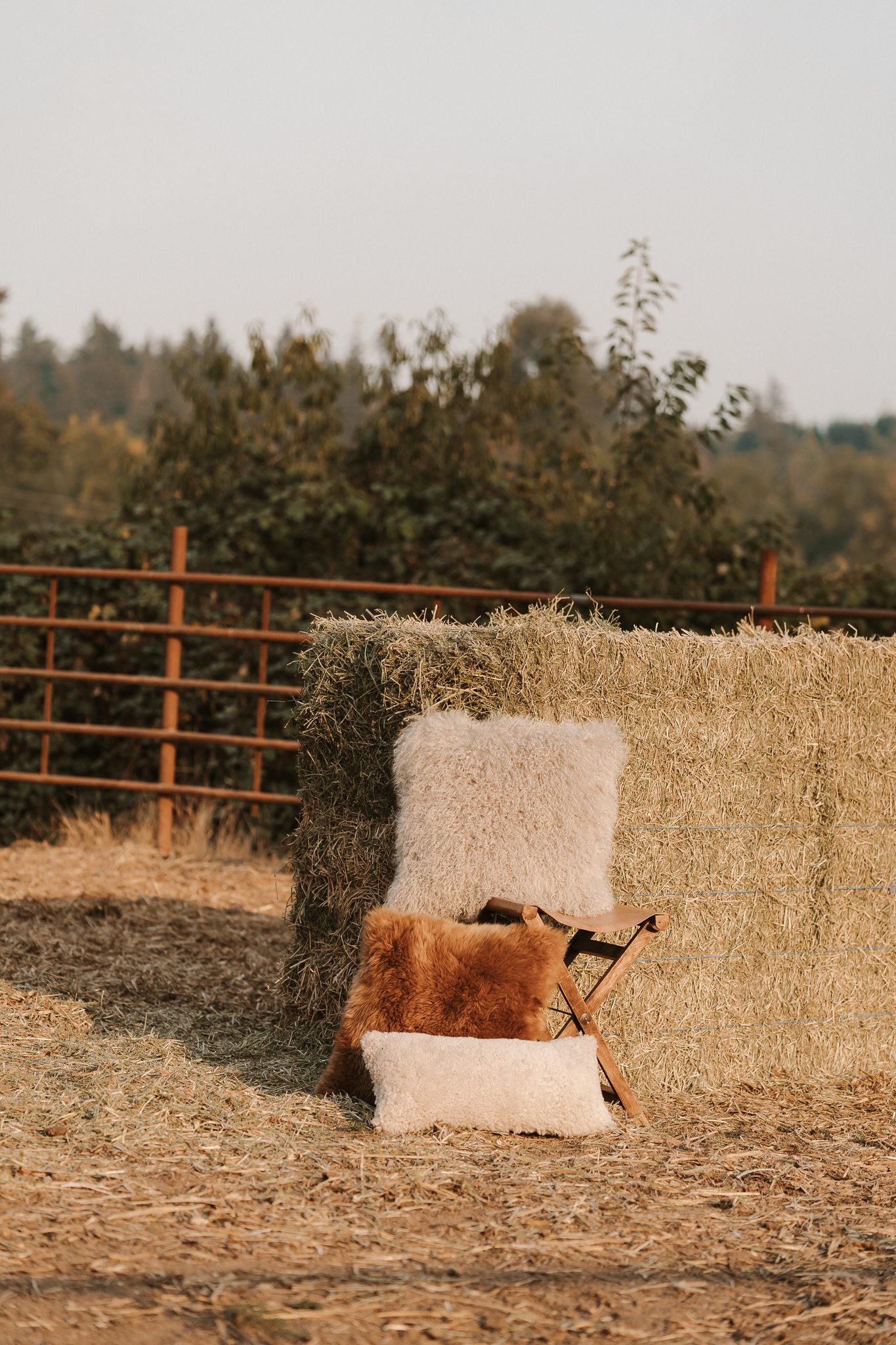 Tibetan Lamb Pillows