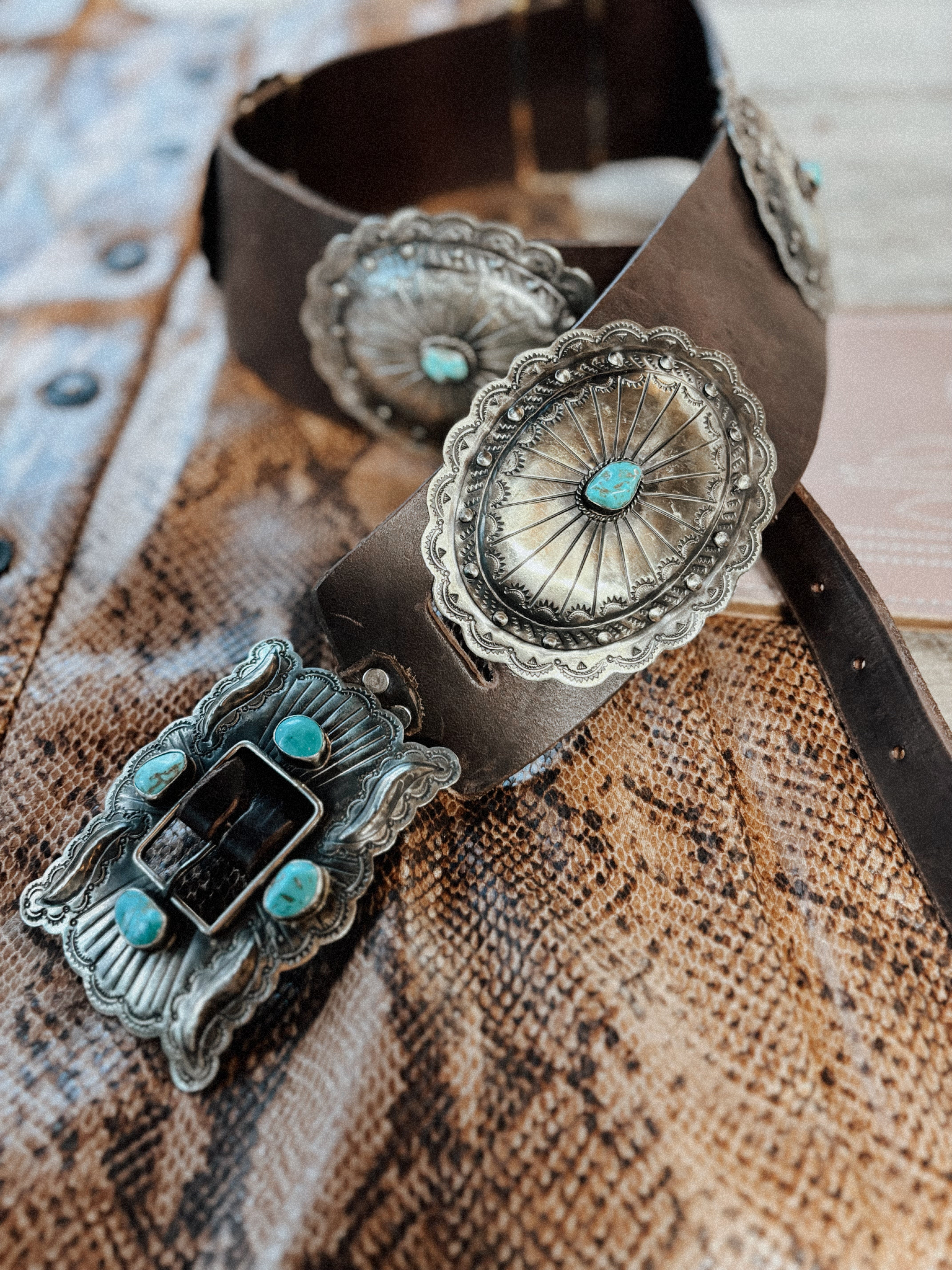 German Silver Concho Belt – Blush Out West display picture 3