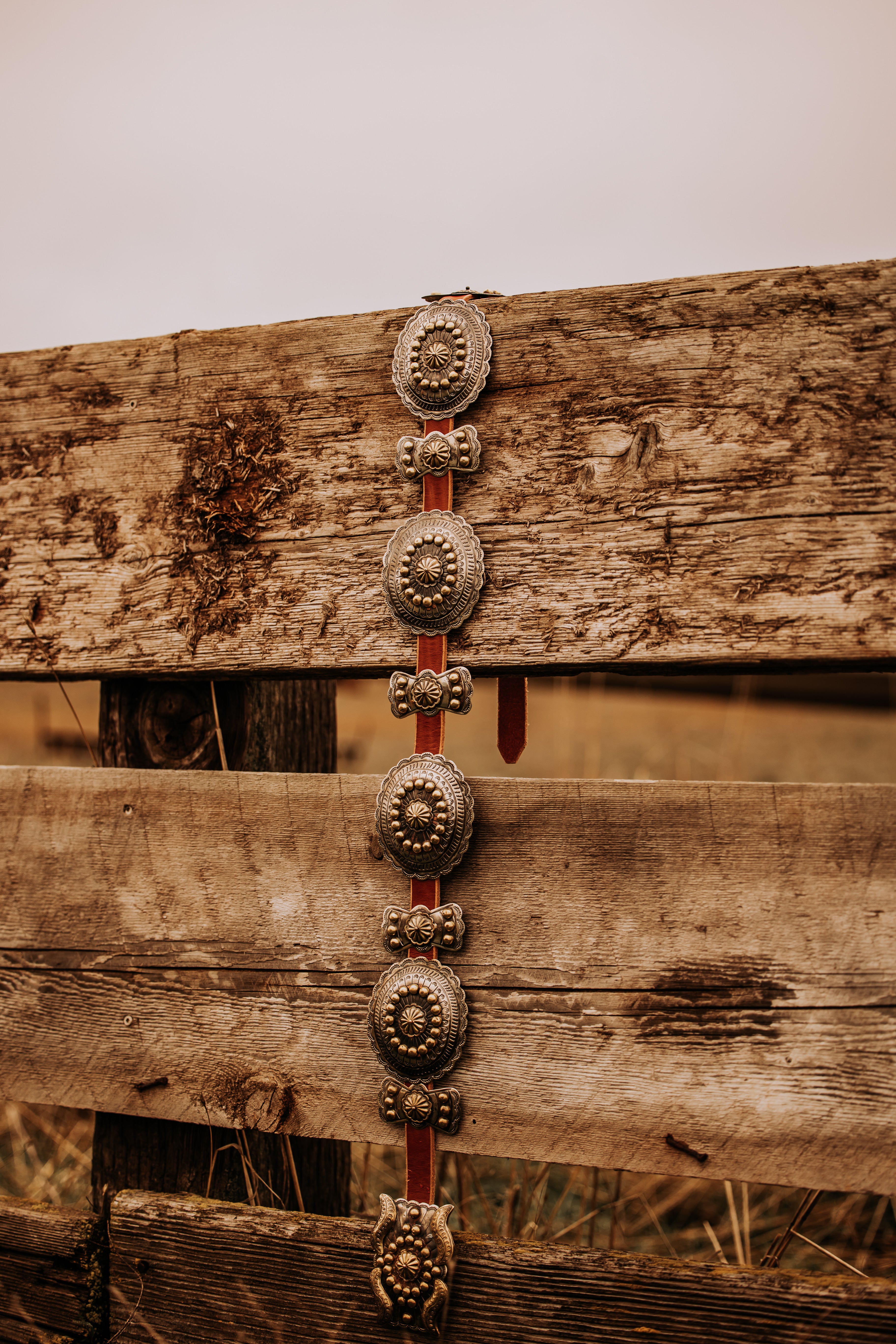 German Silver Concho Belt – Blush Out West