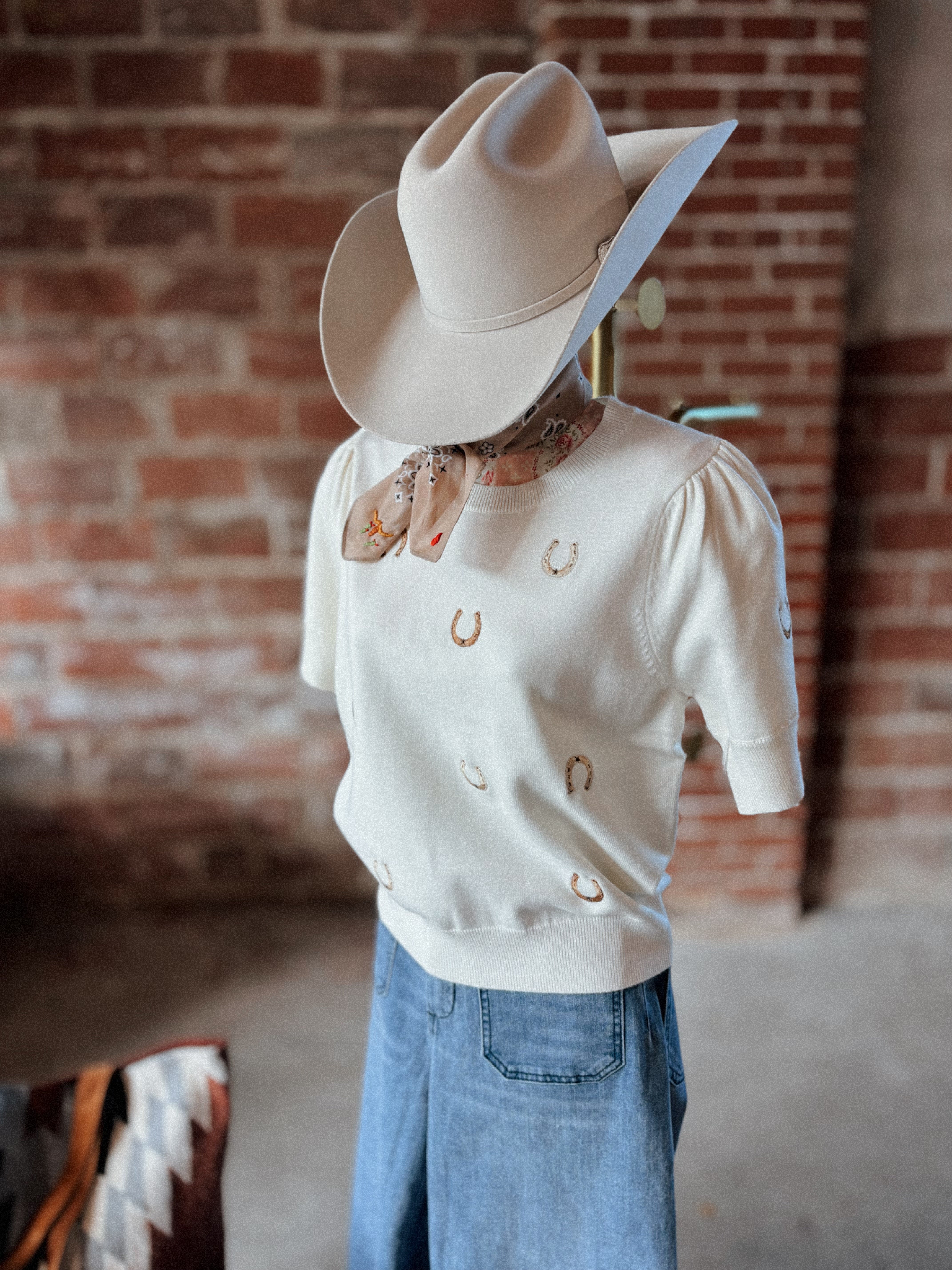 Horseshoe Sweater Top