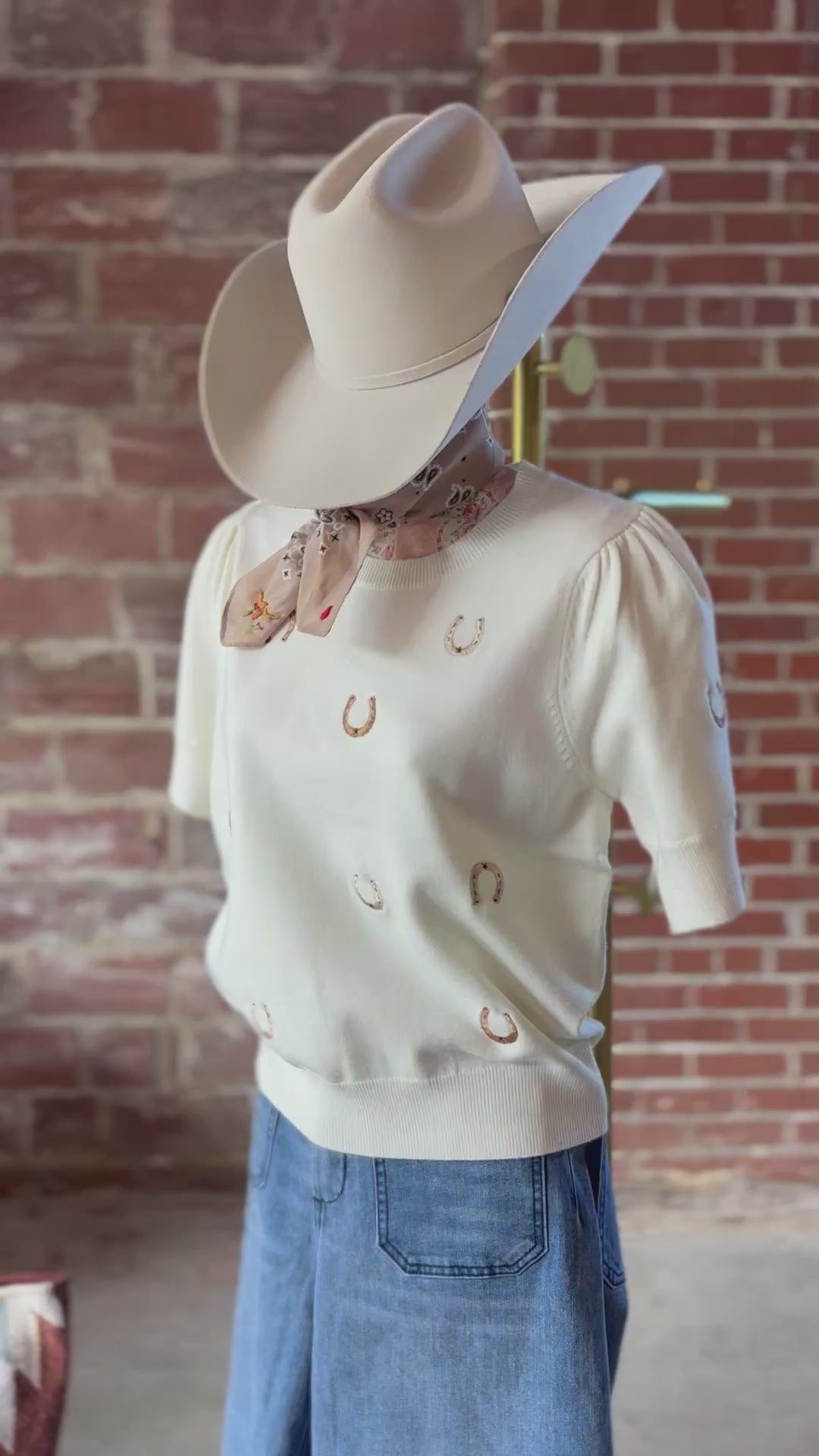 Horseshoe Sweater Top