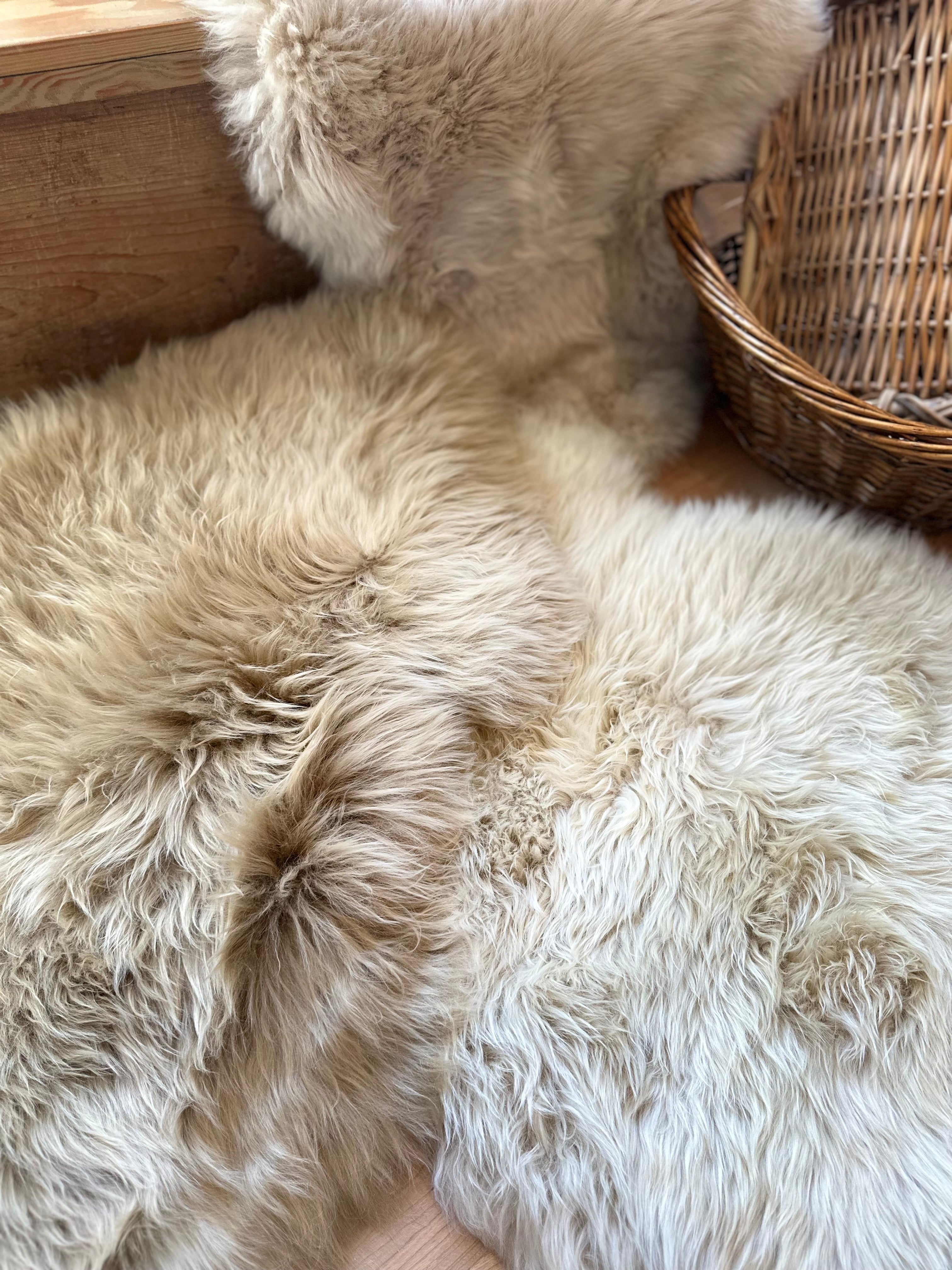 Cozy Long Wool Sheepskin Rug/Throw – Blush Out West