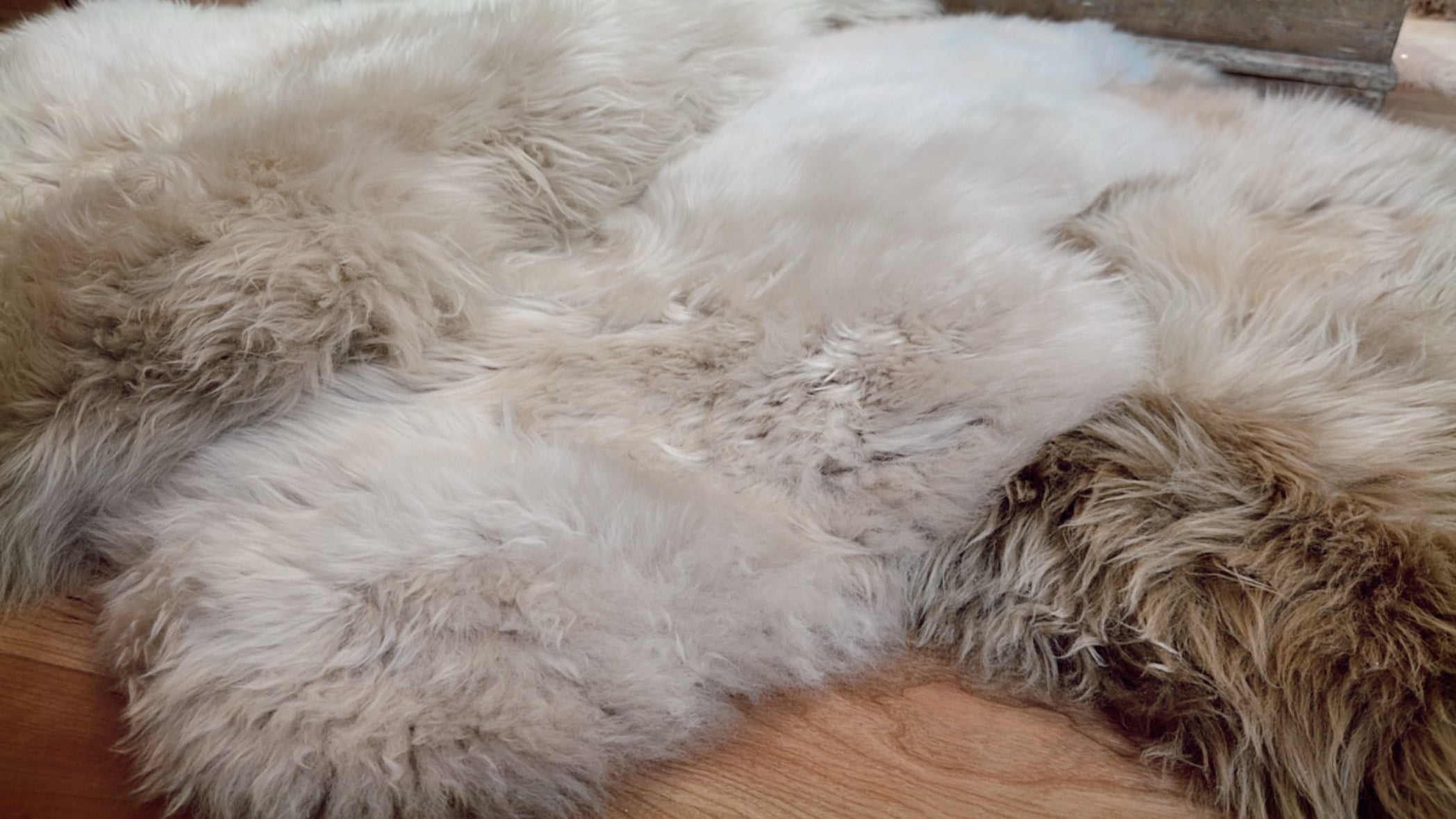 Cozy Long Wool Sheepskin Rug/Throw – Blush Out West