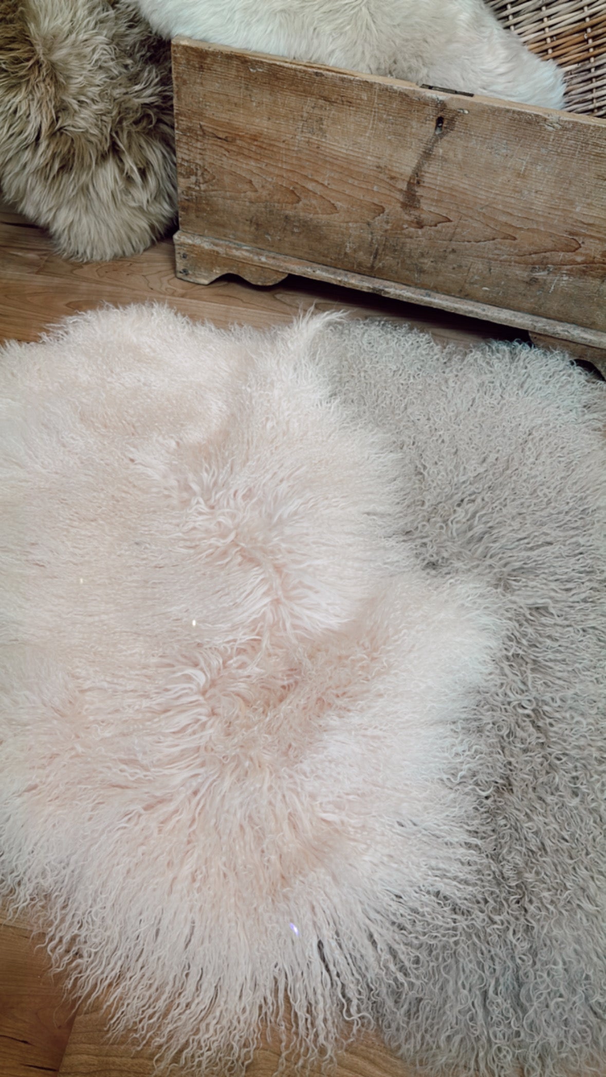Tibetan Sheepskin Pelt Rug/Throw Blush Out West